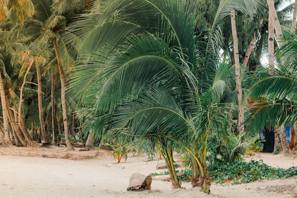 Quels sont les avantages méconnus des destinations hors des sentiers battus ?